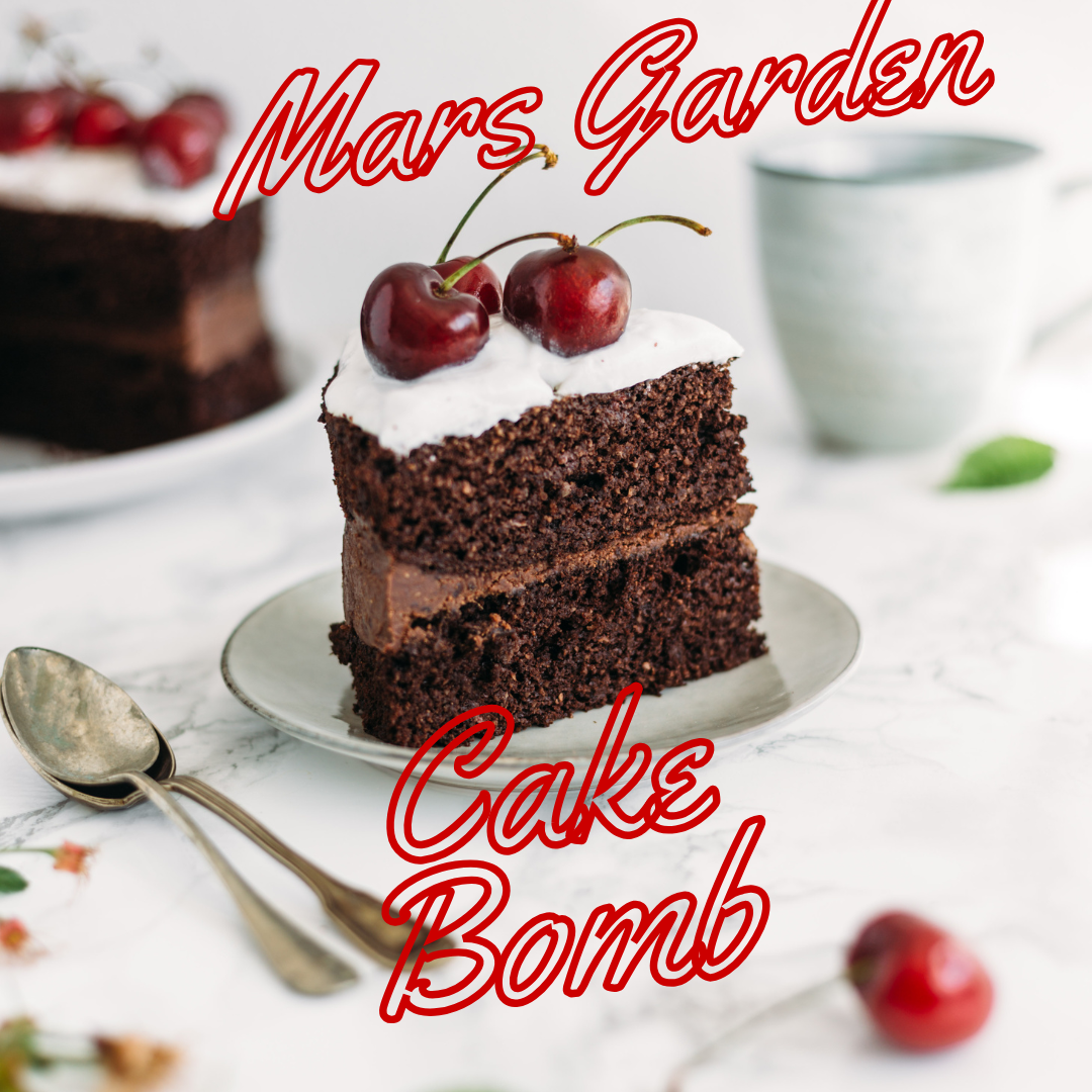 Cake Bomb Photos 5pk