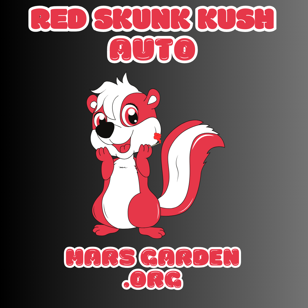 Red Skunk Kush Auto 3pk