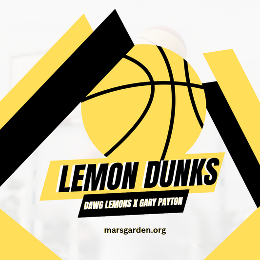 Lemon Dunks 10 pack regular
